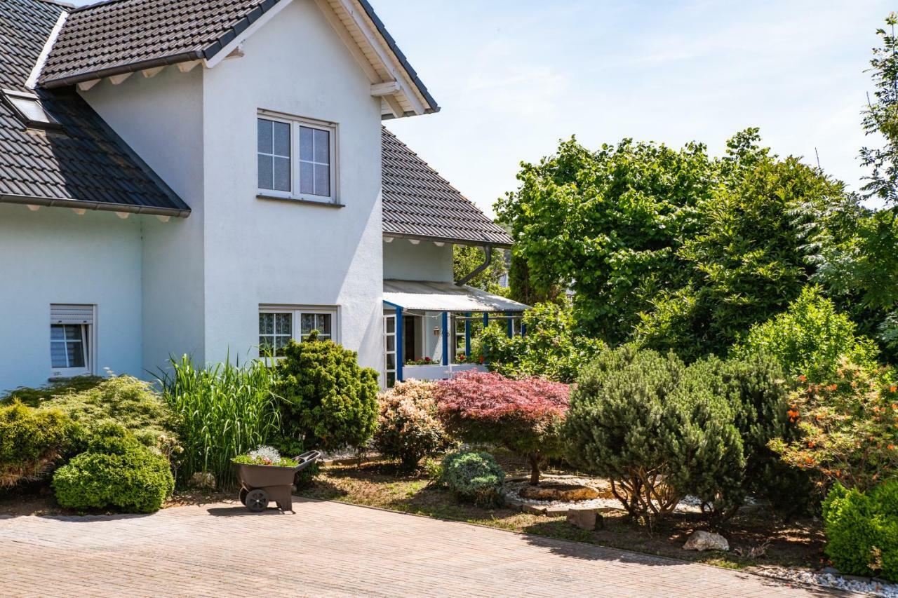 Das Blaue Haus Daufenbach Luaran gambar